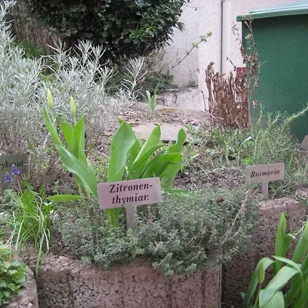 In Tauberbischofsheim
